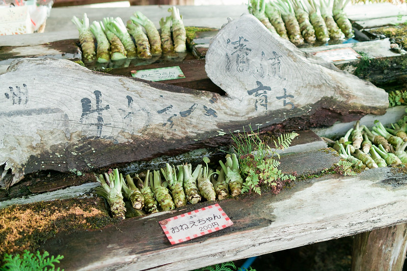 wasa-japo.jpg