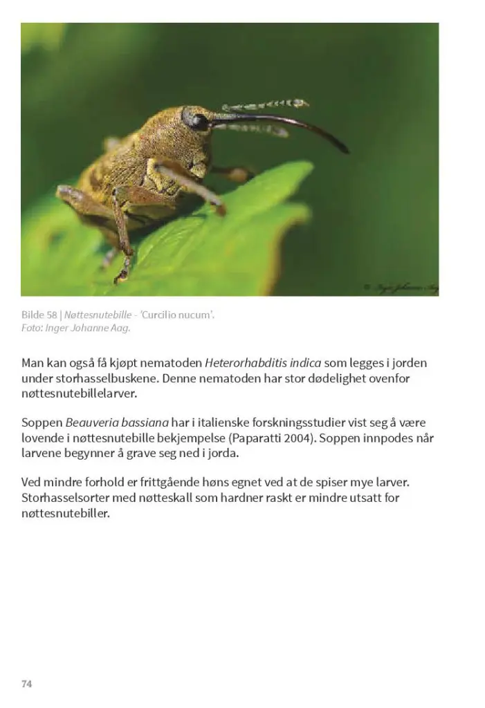 TrykkeriLD74.webp