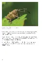 TrykkeriLD74.webp