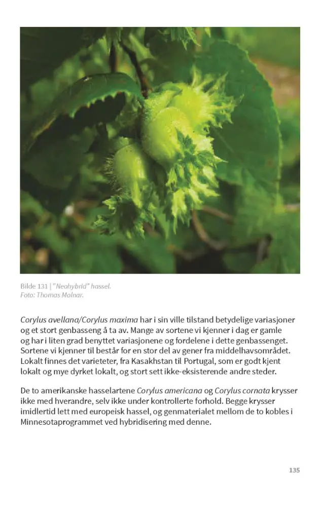TrykkeriLD135.webp