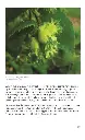 TrykkeriLD135.webp