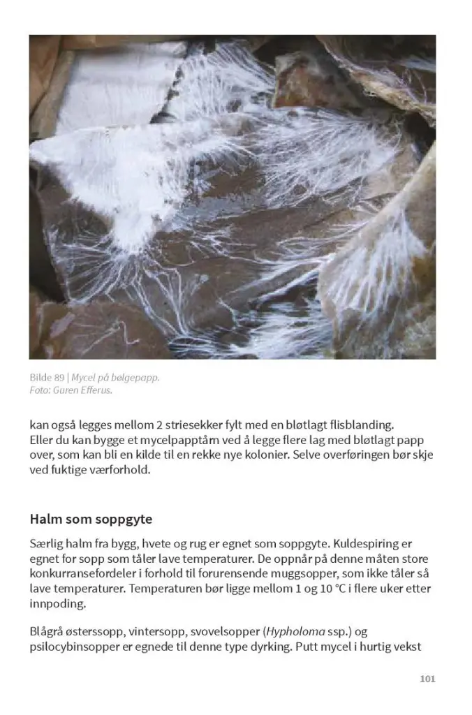 TrykkeriLD101.webp