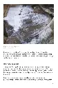 TrykkeriLD101.webp