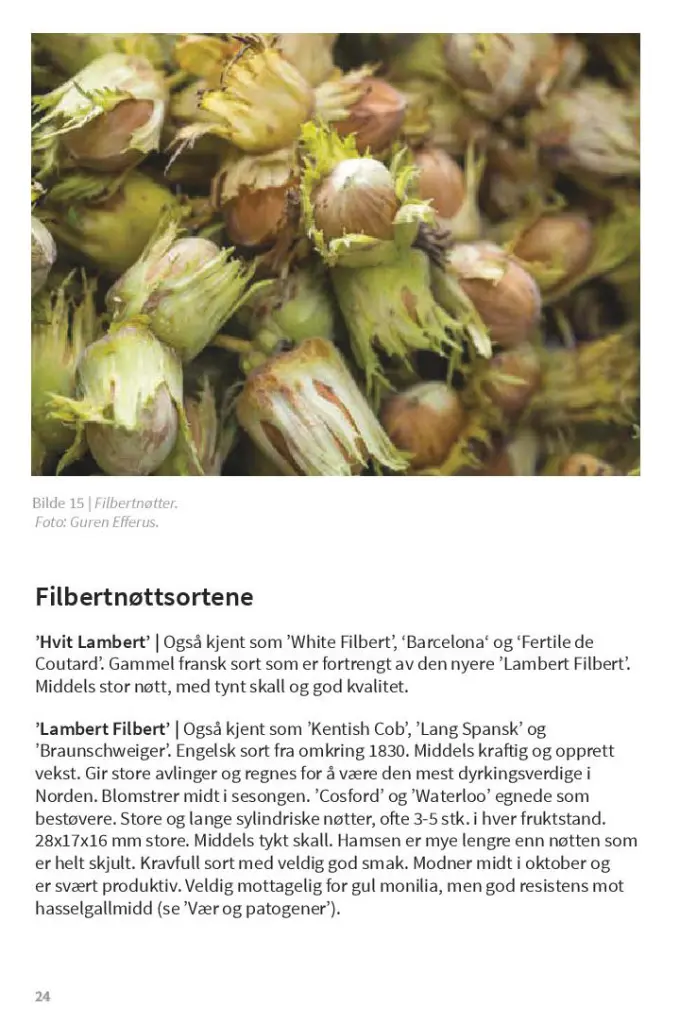 TrykkeriLD24.webp