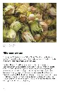 TrykkeriLD24.webp
