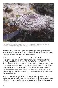 TrykkeriLD54.webp