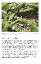 TrykkeriLD81.webp