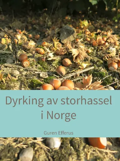 Dyrking av storhassel i Norge